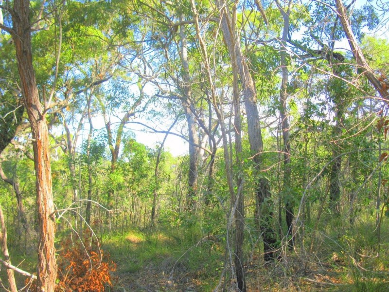 442 Jobson Road, Agnes Water QLD 4677