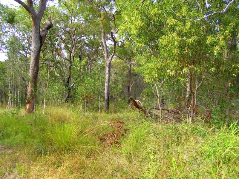 442 Jobson Road, Agnes Water QLD 4677