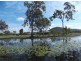 126 Jakeman Drive, Agnes Water QLD 4677