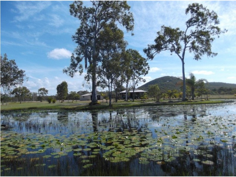 126 Jakeman Drive, Agnes Water QLD 4677