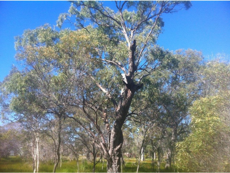 Agnes Water QLD 4677