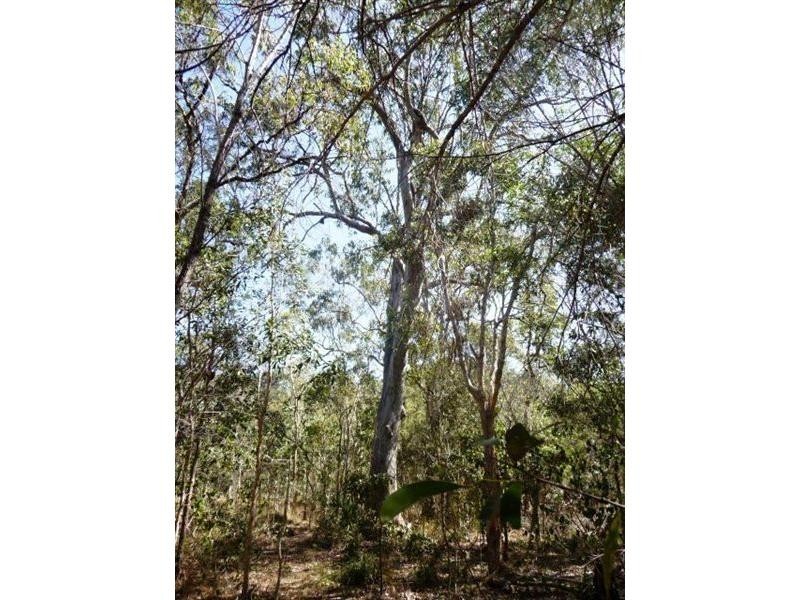 Agnes Water QLD 4677