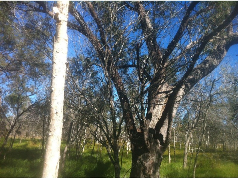 Agnes Water QLD 4677