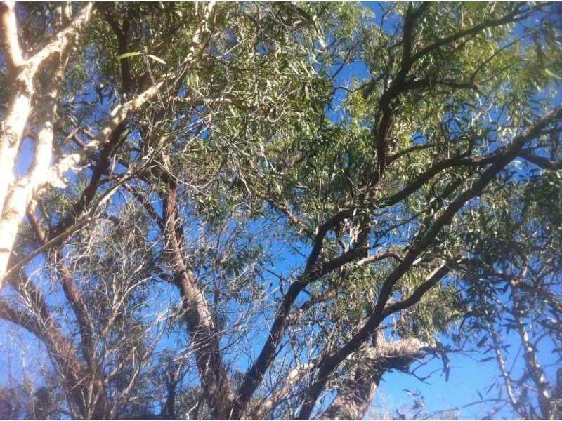 Agnes Water QLD 4677