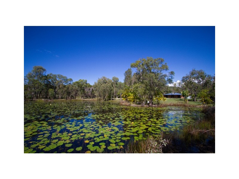 484 Anderson Way, Agnes Water QLD 4677