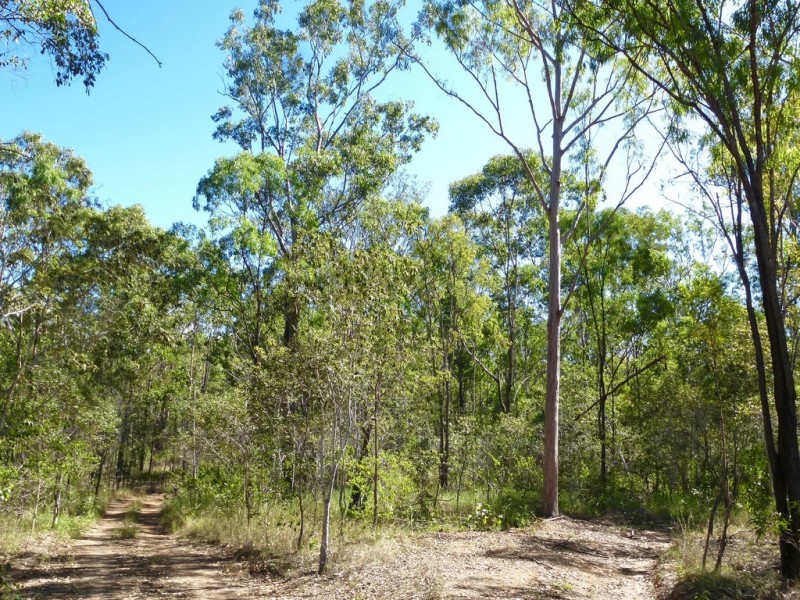 LOT 28 Cross Road, Euleilah QLD 4674