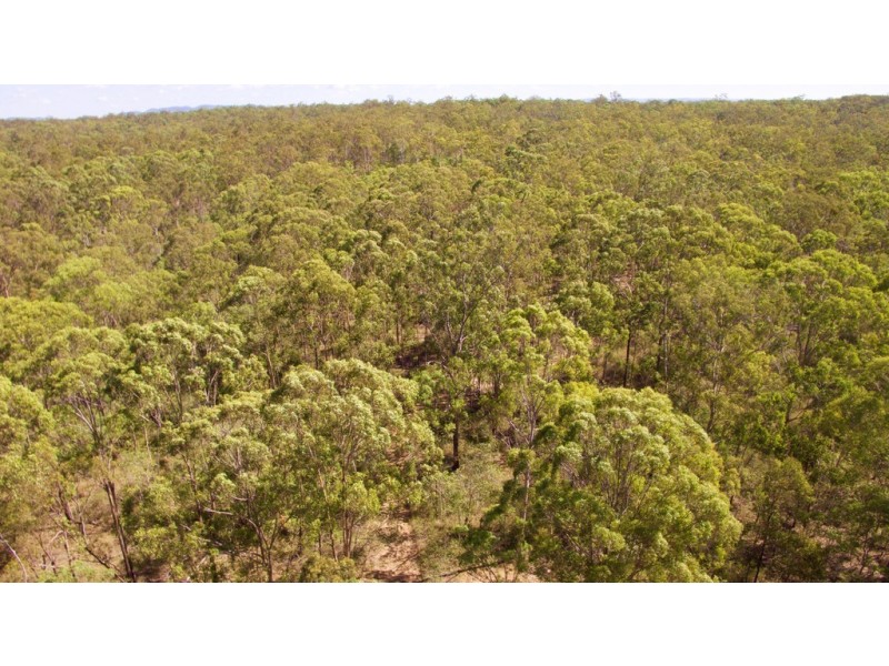 LOT 28 Cross Road, Euleilah QLD 4674