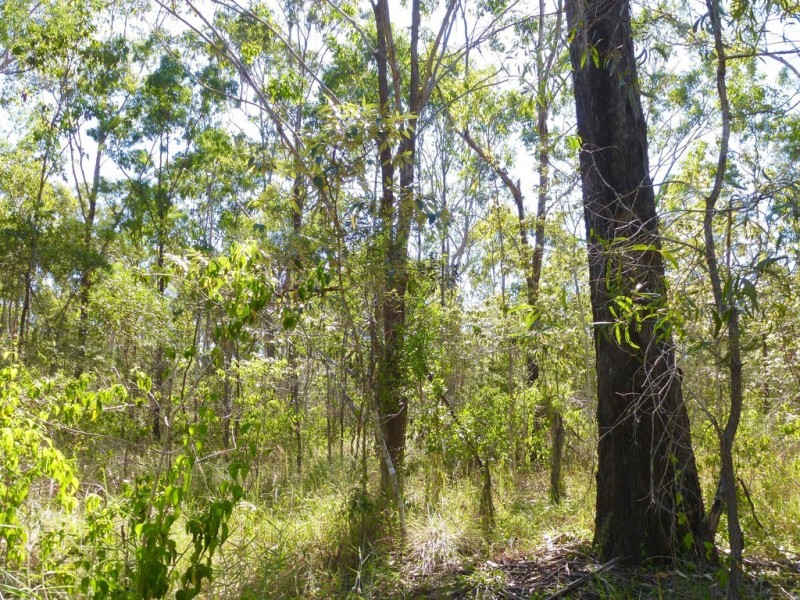 LOT 28 Cross Road, Euleilah QLD 4674