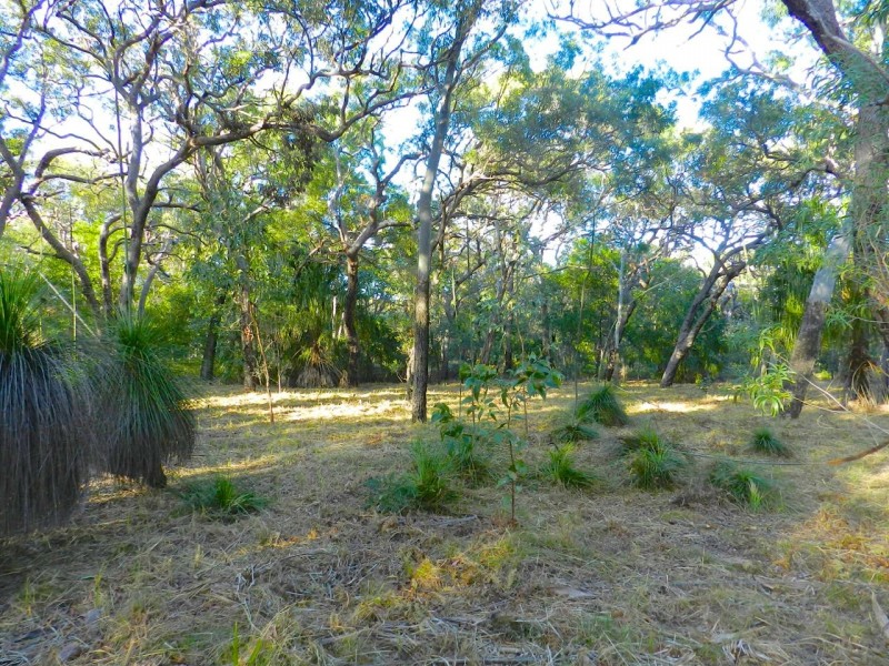 Lot 133 Bloodwood Ave Sth, Agnes Water QLD 4677