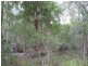 Lot 21 Round Hill Road, Round Hill QLD 4677