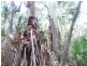 Lot 21 Round Hill Road, Round Hill QLD 4677