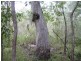 Lot 21 Round Hill Road, Round Hill QLD 4677