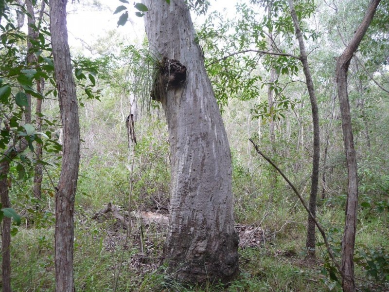 Lot 21 Round Hill Road, Round Hill QLD 4677