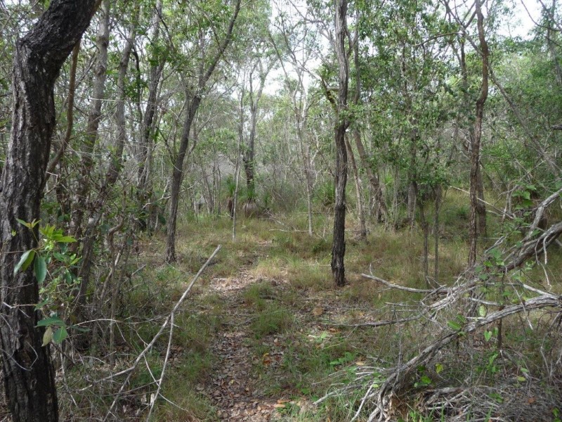 Lot 21 Round Hill Road, Round Hill QLD 4677