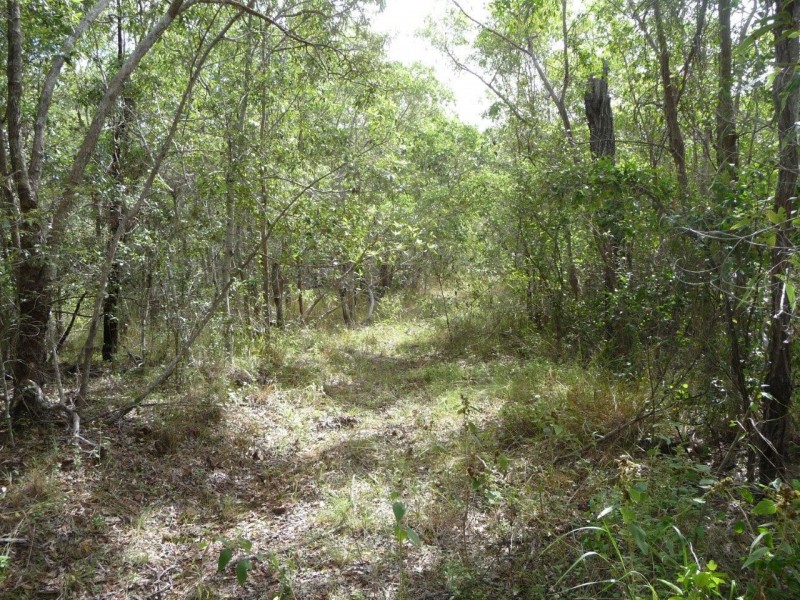 Lot 21 Round Hill Road, Round Hill QLD 4677
