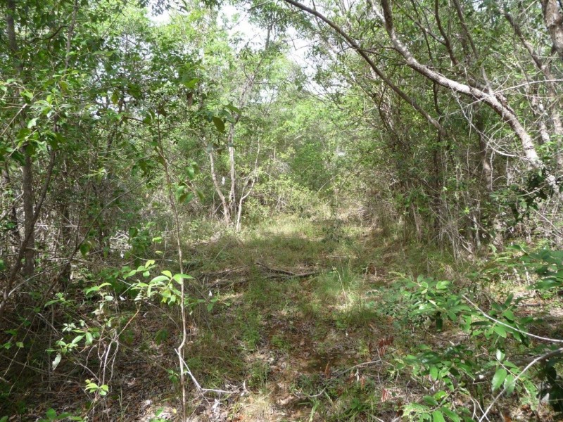 Lot 21 Round Hill Road, Round Hill QLD 4677