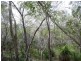 Lot 21 Round Hill Road, Round Hill QLD 4677