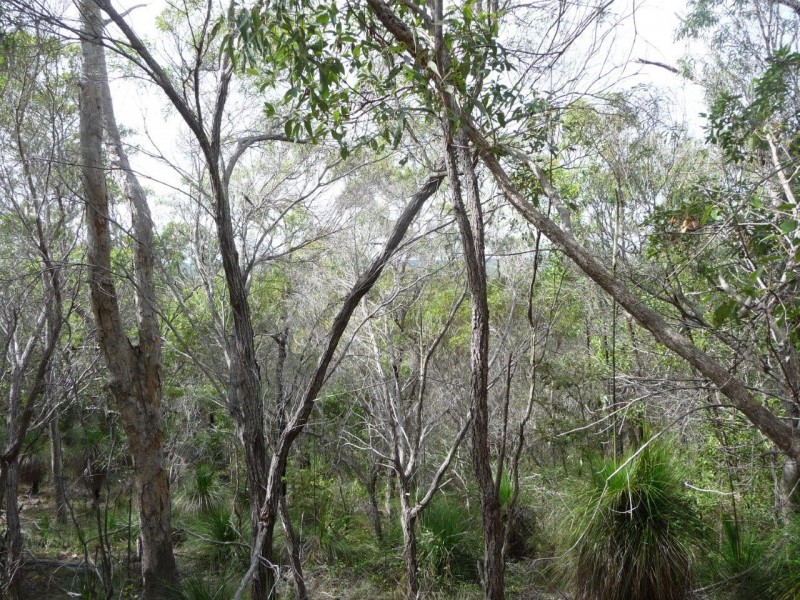 Lot 21 Round Hill Road, Round Hill QLD 4677