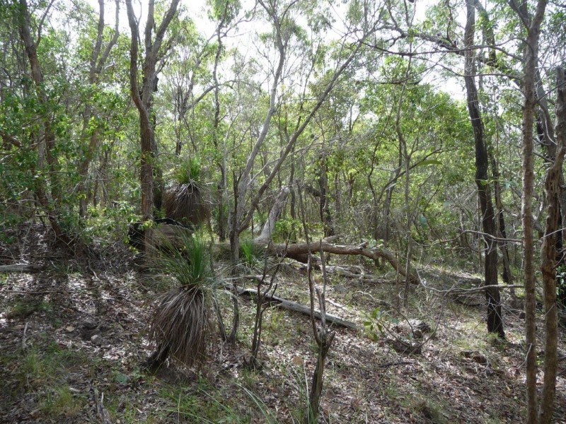 Lot 21 Round Hill Road, Round Hill QLD 4677