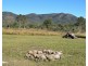 2374 Fingerboard Road, Mount Tom QLD 4677