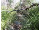 2374 Fingerboard Road, Mount Tom QLD 4677