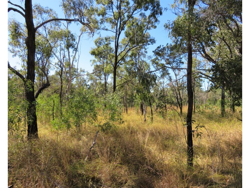 2374 Fingerboard Road, Mount Tom QLD 4677