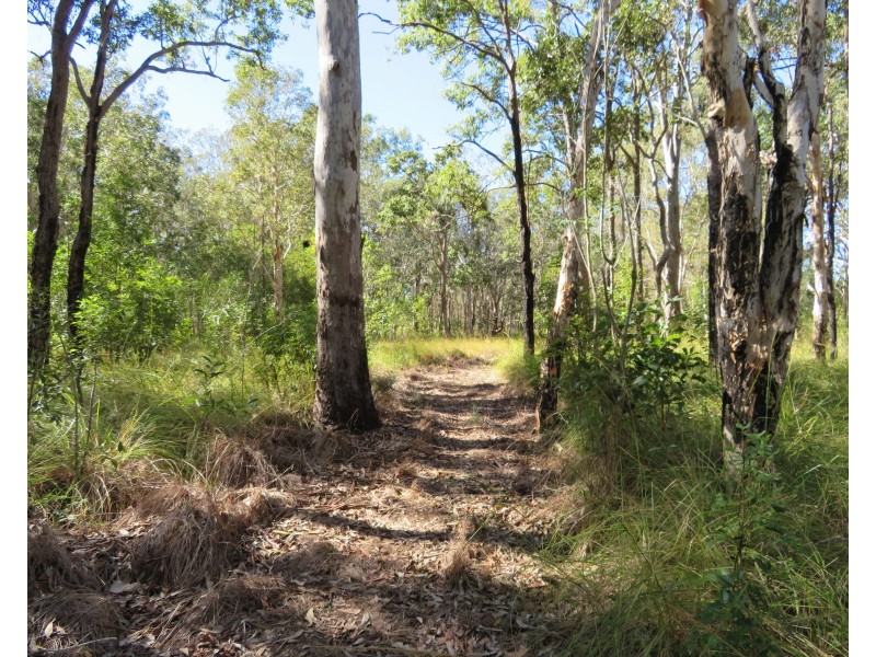 2374 Fingerboard Road, Mount Tom QLD 4677