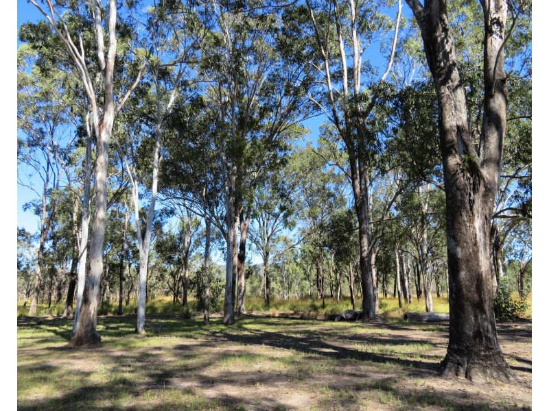 2374 Fingerboard Road, Mount Tom QLD 4677