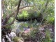 2374 Fingerboard Road, Mount Tom QLD 4677