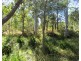 2374 Fingerboard Road, Mount Tom QLD 4677