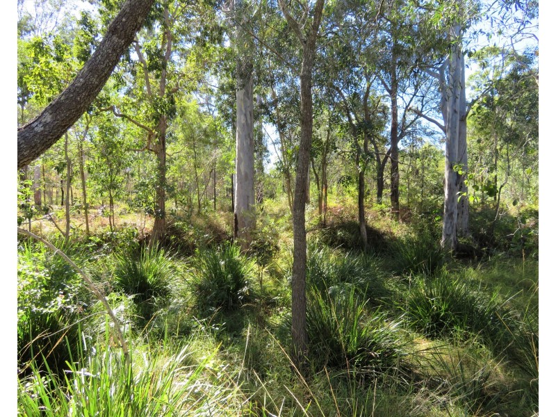 2374 Fingerboard Road, Mount Tom QLD 4677