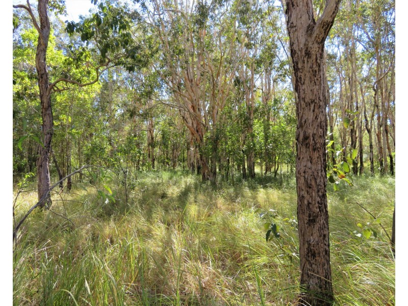 2374 Fingerboard Road, Mount Tom QLD 4677