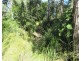 2374 Fingerboard Road, Mount Tom QLD 4677