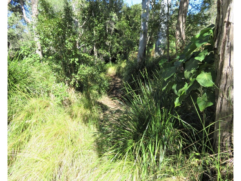 2374 Fingerboard Road, Mount Tom QLD 4677