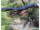 2374 Fingerboard Road, Mount Tom QLD 4677