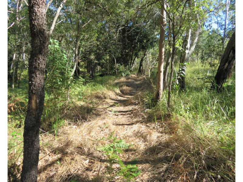 2374 Fingerboard Road, Mount Tom QLD 4677
