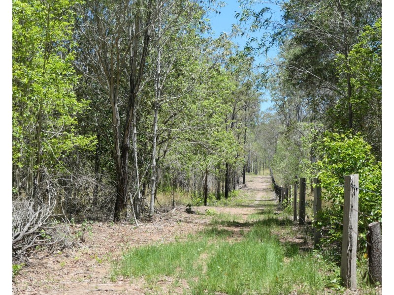 2374 Fingerboard Road, Mount Tom QLD 4677