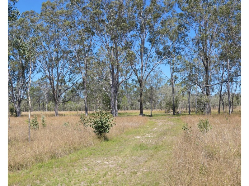 2374 Fingerboard Road, Mount Tom QLD 4677
