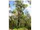 2206 Round Hill Road, Agnes Water QLD 4677