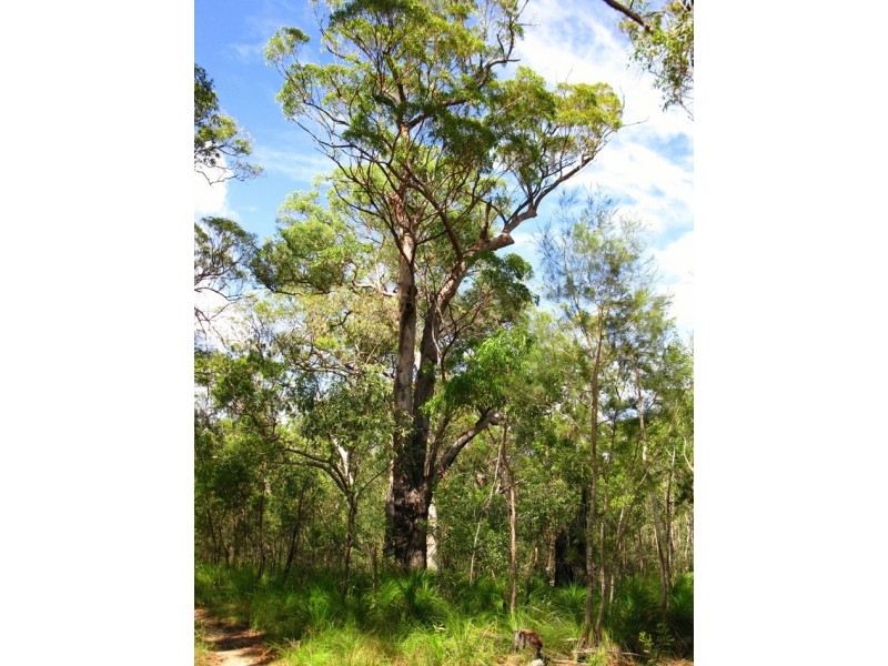 2206 Round Hill Road, Agnes Water QLD 4677