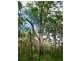 2206 Round Hill Road, Agnes Water QLD 4677