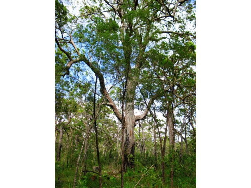 2206 Round Hill Road, Agnes Water QLD 4677