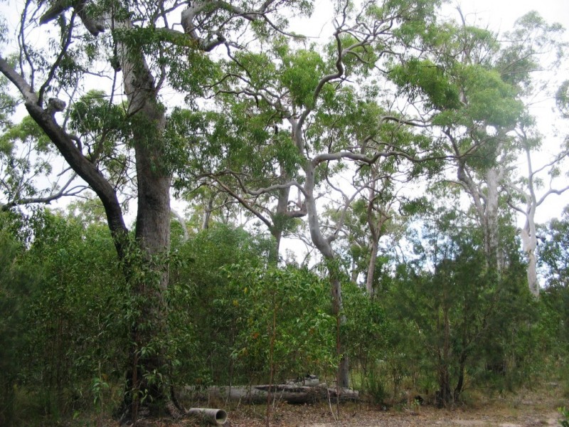 2206 Round Hill Road, Agnes Water QLD 4677