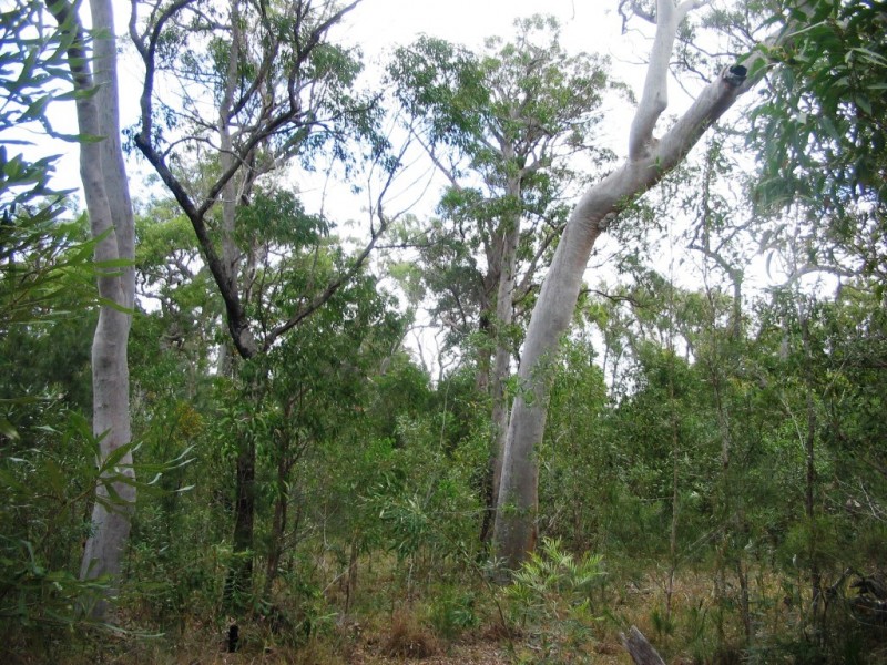 2206 Round Hill Road, Agnes Water QLD 4677