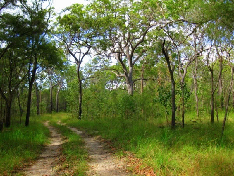2206 Round Hill Road, Agnes Water QLD 4677