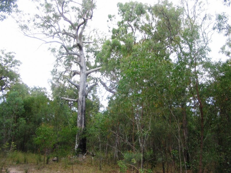 2206 Round Hill Road, Agnes Water QLD 4677