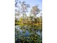 Captain Creek QLD 4677