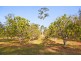 Captain Creek QLD 4677