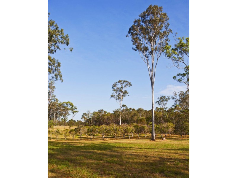 Captain Creek QLD 4677