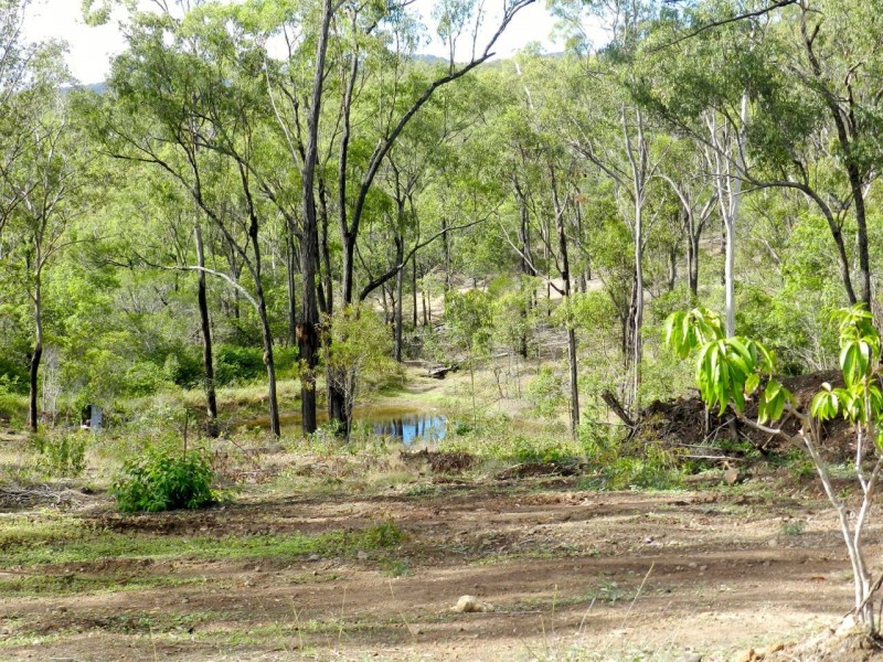 293 Mineral Road, Rosedale QLD 4674